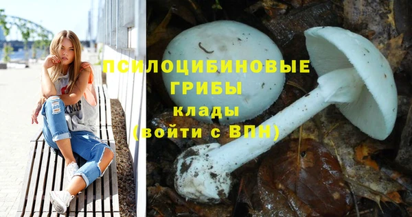 MESCALINE Баксан