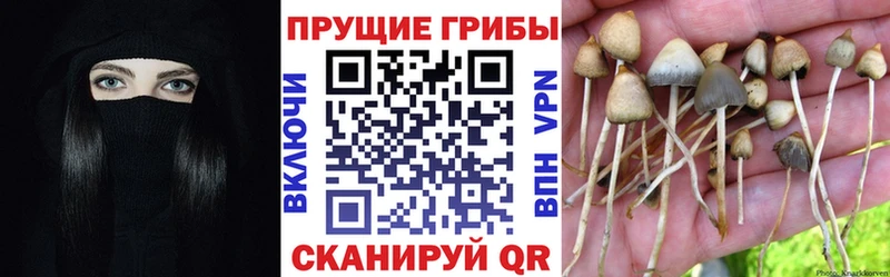 Псилоцибиновые грибы ЛСД  ОМГ ОМГ зеркало  Белово 